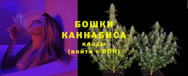 герыч Ельня