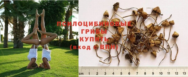 мяу мяу кристалл Пересвет
