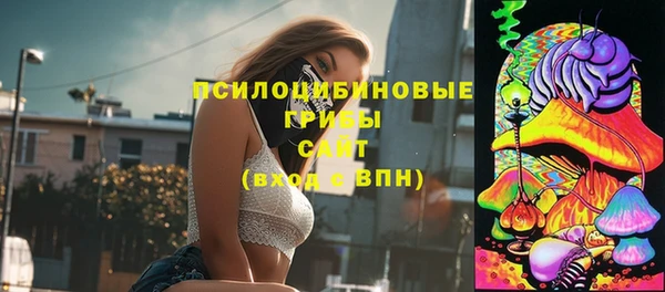 винт Переславль-Залесский