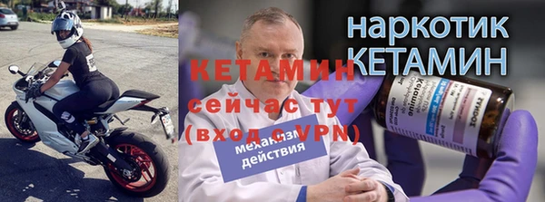 сатива Покачи