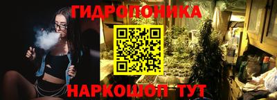 Альфа ПВП Камышлов