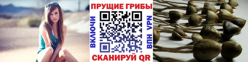 Галлюциногенные грибы ЛСД  Северобайкальск 
