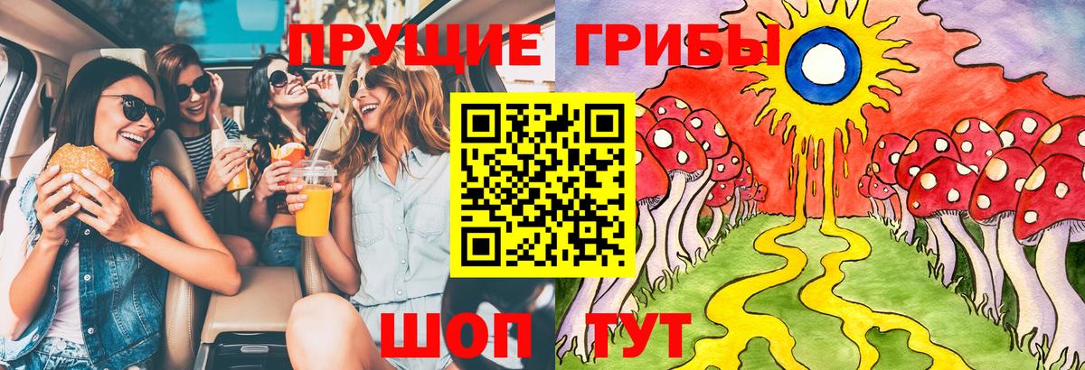 Галлюциногенные грибы Cubensis  Северобайкальск 