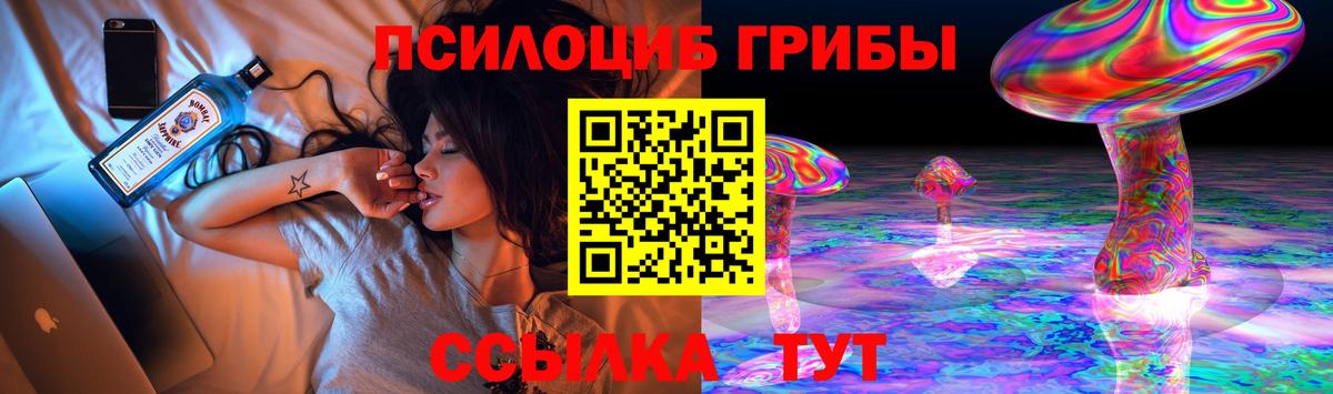 Псилоцибиновые грибы прущие грибы Северобайкальск